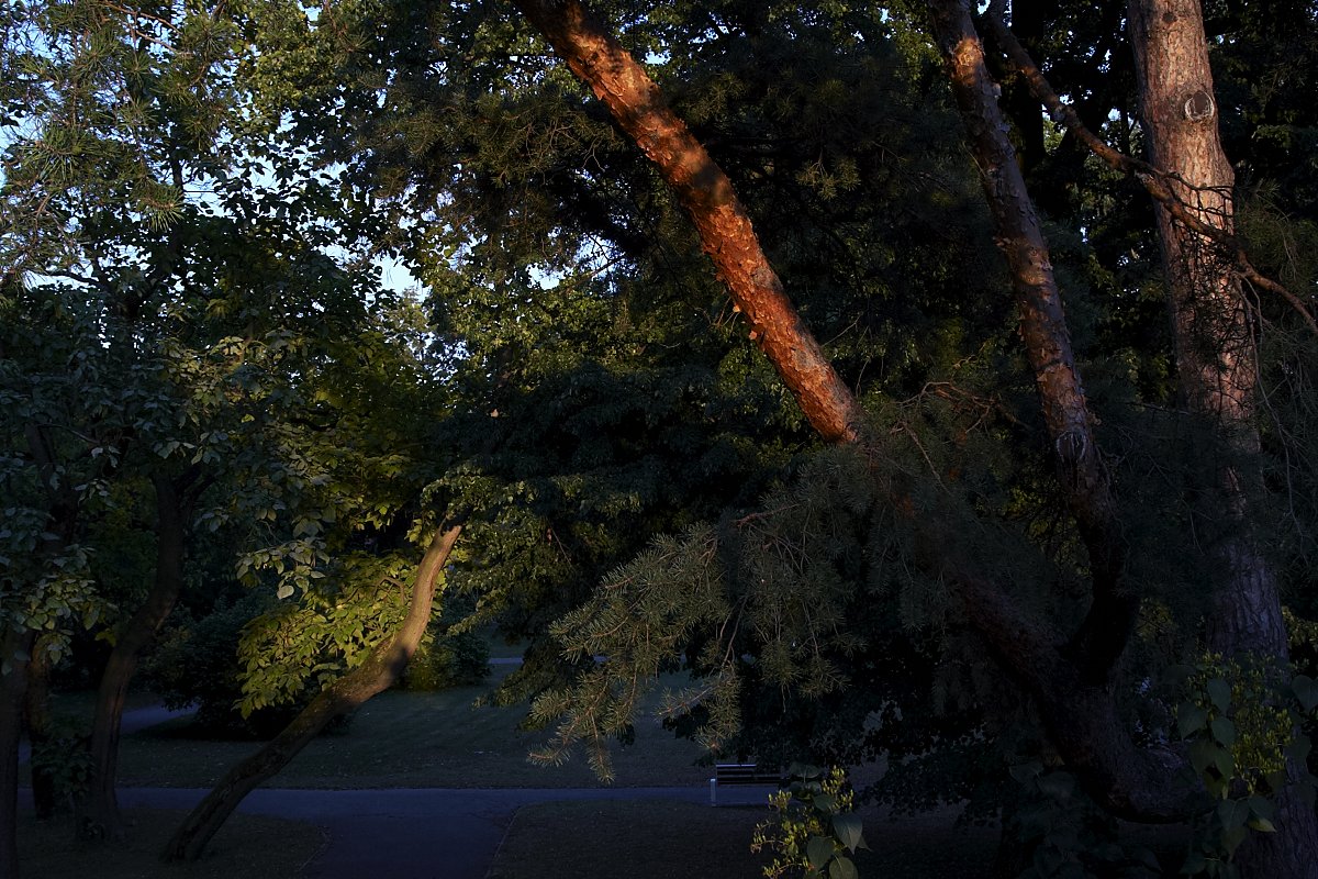 Park.jpg